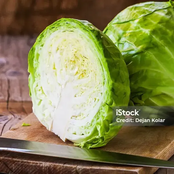 ملفوف